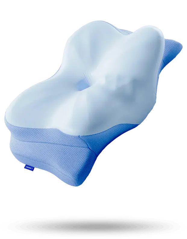 Derila Ergo Pillow 2